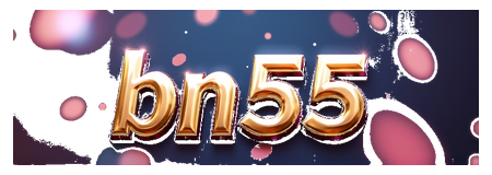 bn55 logo